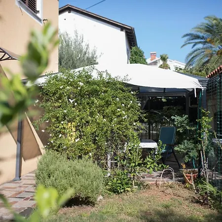 Apartmani Karpinjan - Novigrad Novigrad Istria Extérieur photo