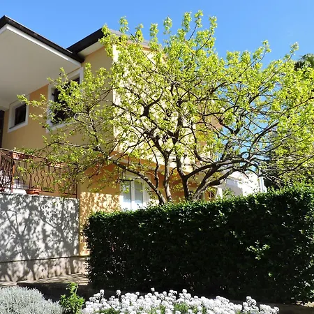 Apartmani Karpinjan - Novigrad Novigrad Istria Extérieur photo