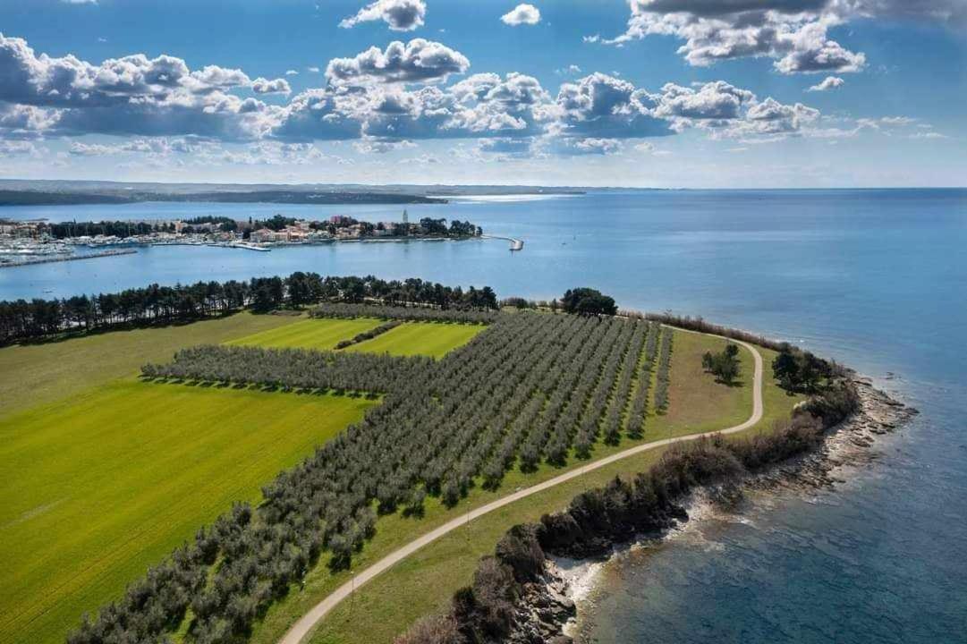 Karpinjan - Novigrad Apartment
